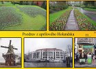 201801holandsko2018