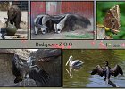 201908Budapest2019b