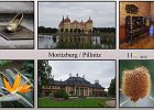 201910Moritzburg2019