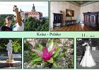 201911ksiaz2019