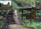 202211Haluzice2022