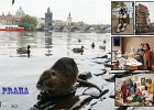 202212Praha2022